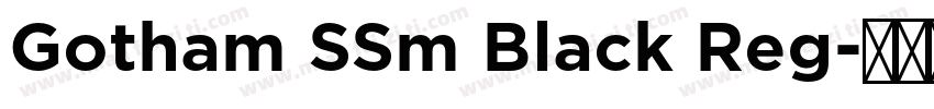 Gotham SSm Black Reg字体转换